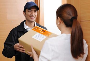 Domestic courier service